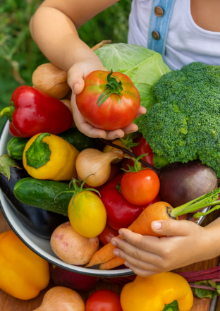 Crisp and naturally grown, our fresh vegetables are full of essential nutrients. They are perfect for everyday cooking, export supply, and high-quality culinary needs.
