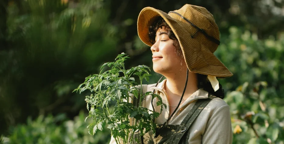 We grow fresh, organic produce using clean methods that protect nature, healthy food. We grow fresh, organic produce using clean methods that protect nature, healthy food.
