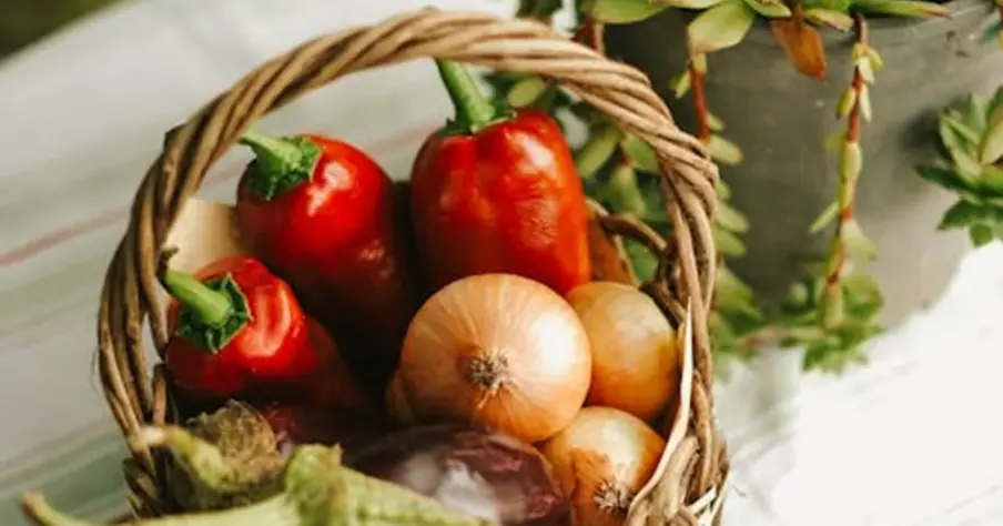 We grow fresh, organic produce using clean methods that protect nature, healthy food. We grow fresh, organic produce using clean methods that protect nature, healthy food.