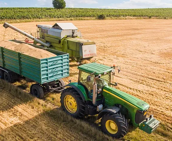 We grow fresh, organic produce using clean methods that protect nature, healthy food. We grow fresh, organic produce using clean methods that protect nature, healthy food.