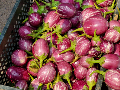 Brinjal is a tender, succulent vegetable with a peculiar sponge-like appearance that takes up the spices well. It can be well-dished up grilled, fried, in curries, or in traditional regional recipes.