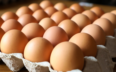 Brown eggs are rich in nutrients and have a slightly richer taste. They are popular for their natural look and wholesome nutritional value.