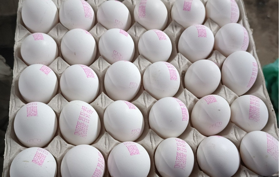 Eggs & Poultry Products