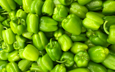 Capsicum