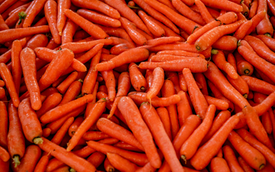 Carrot