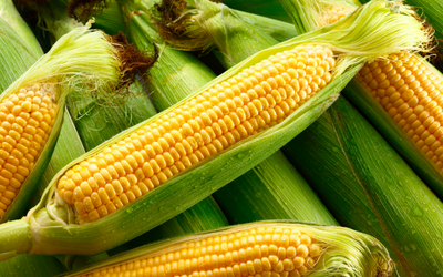 Corn