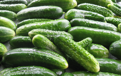 Cucumber