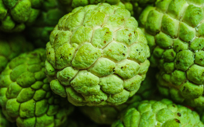 Custard Apple