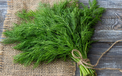 Dill