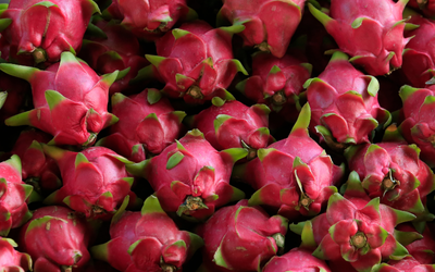 Dragon Fruit