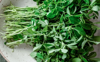 Fenugreek