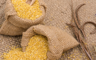 Foxtail Millet (Kangni _ Navane)