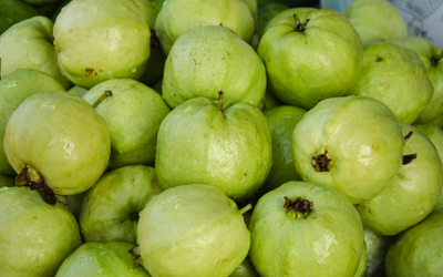 Guava