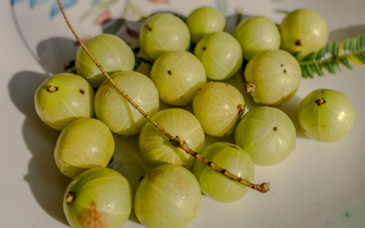 Indian Gooseberry