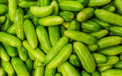 Ivy Gourd