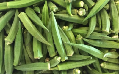 Okra
