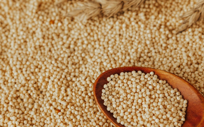 Proso Millet