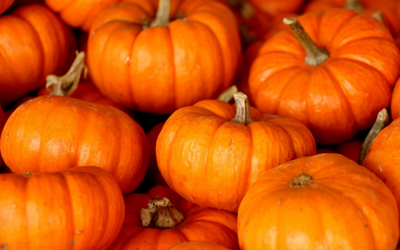 Pumpkin