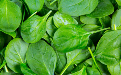 Spinach