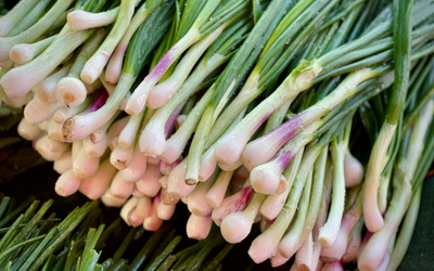 Spring Onion